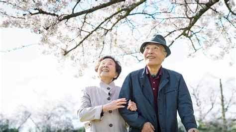 Most impactful quotes from the popular longevity book 'Ikigai'.